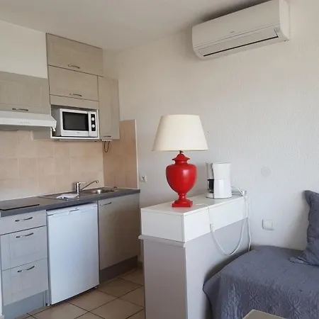 Apartment 2 Pieces Avec Balcon, Climatise, Proche Et Centre-ville - Fr-1-466a-2